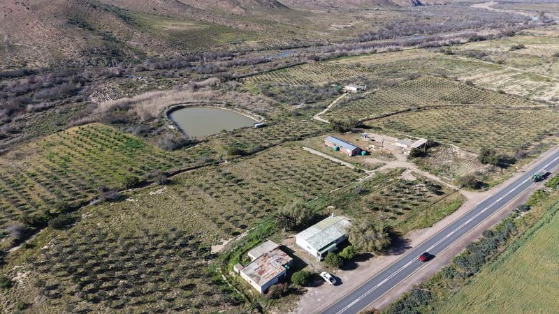 0 Bedroom Property for Sale in Ladismith Western Cape